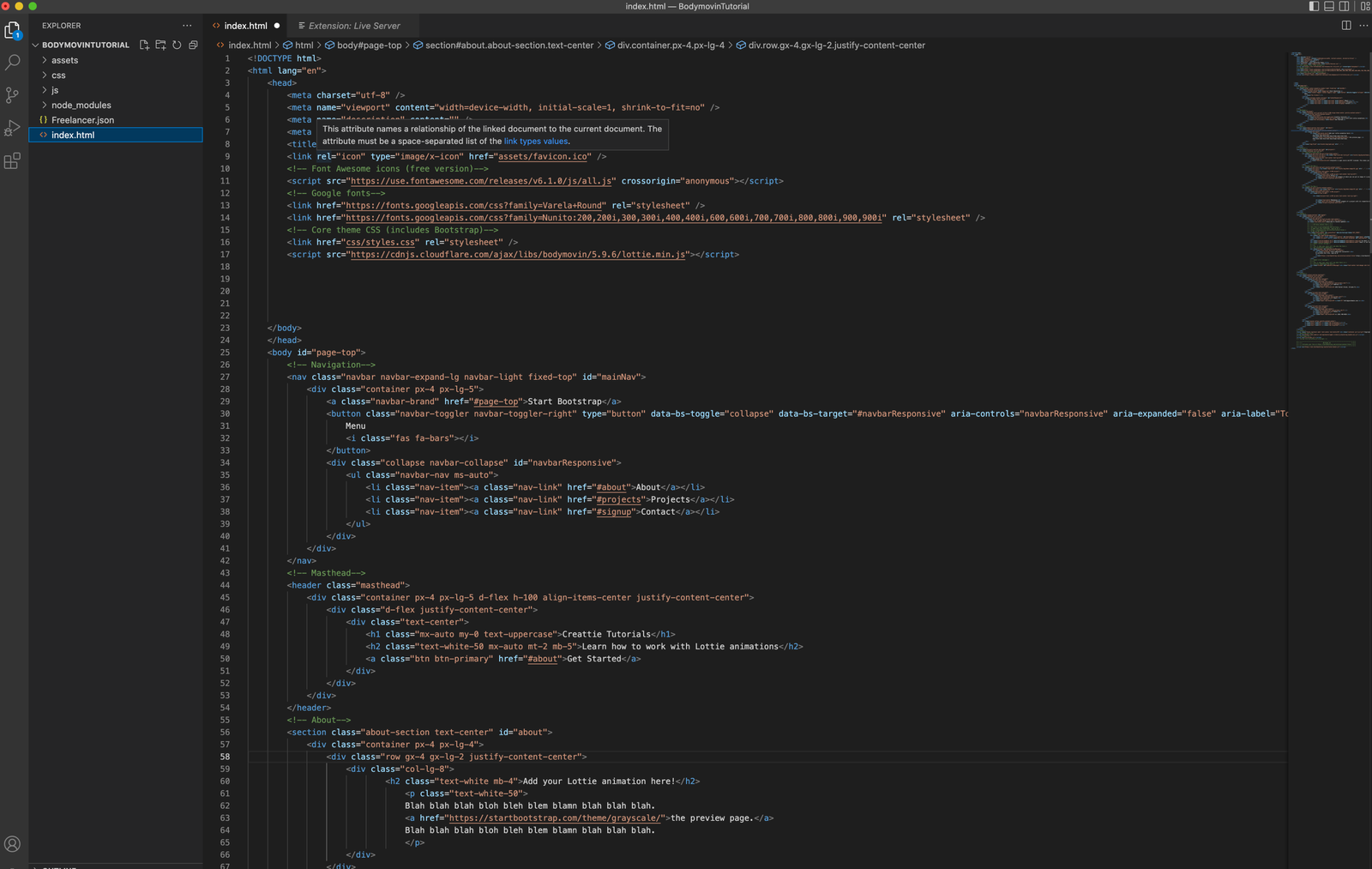 how to paste bodymovin CDN to header