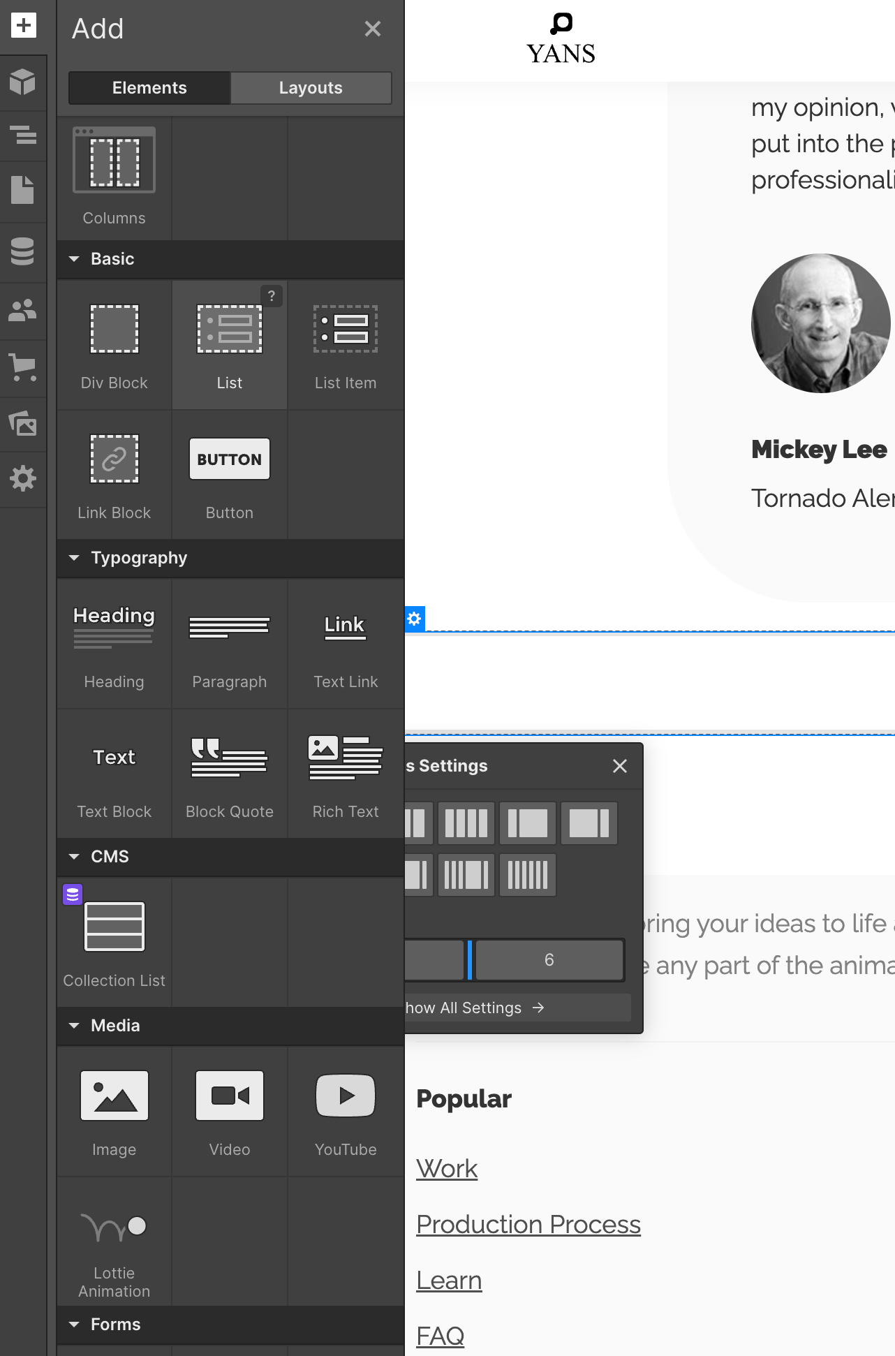 Add Lottie Animations to Webflow step12