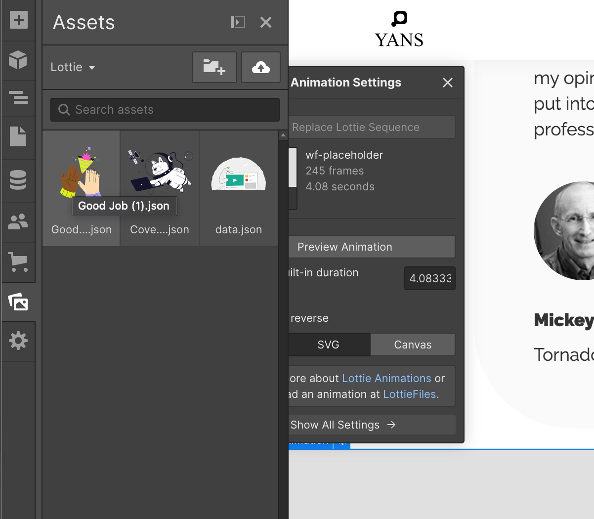 Add Lottie Animations to Webflow step14