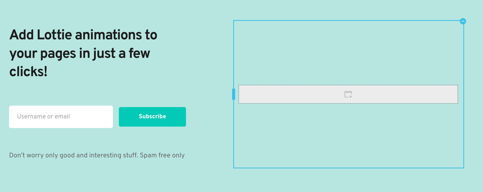 How to Use Lottie with Brizy Page Builder